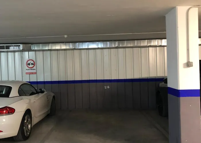 Marques Petit Premium